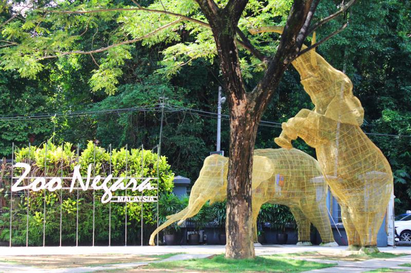 Nature Zoo Negara